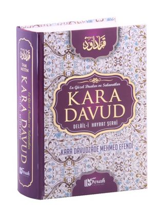 Kara Davud kitabı ne anlatıyor?